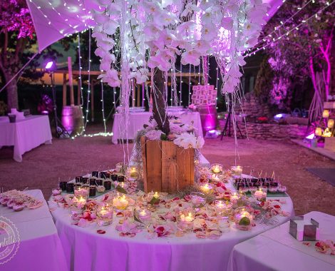 Wedding Planner Languedoc Roussillon